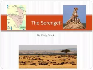 the serengeti