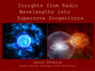 Insights from Radio Wavelengths into 		Supernova Progenitors
