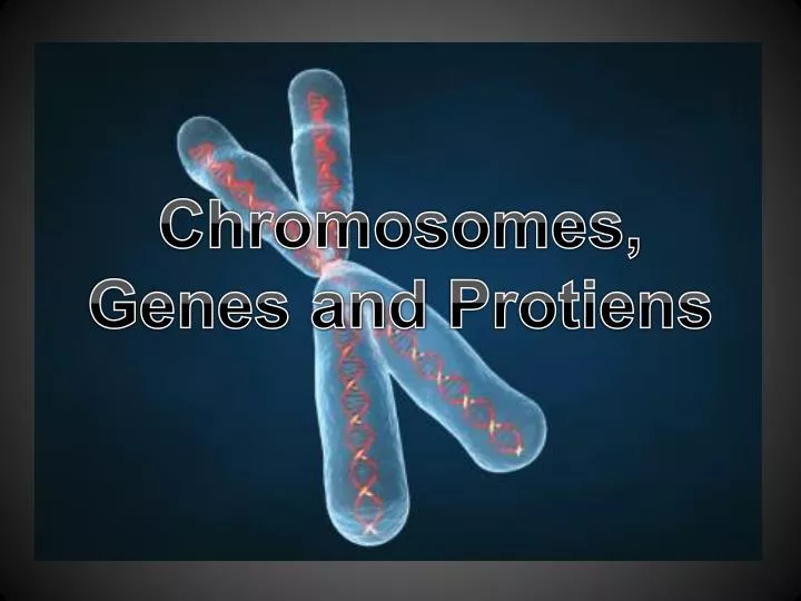 chromosomes genes and protiens