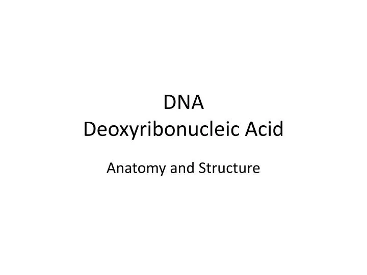 dna deoxyribonucleic acid