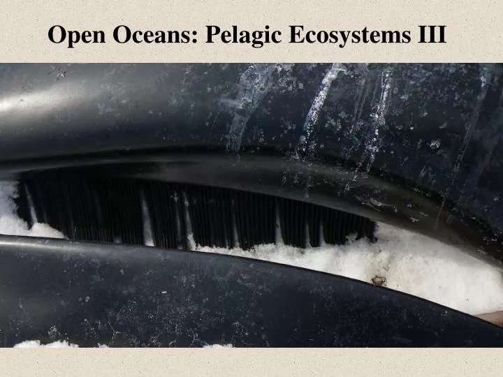 open oceans pelagic ecosystems iii
