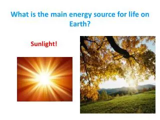 What is the main energy source for life on Earth?