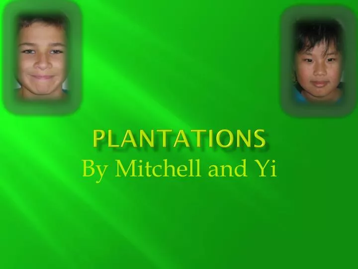 plantations