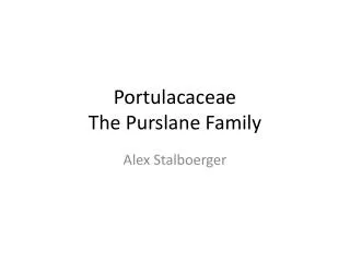 Portulacaceae The Purslane Family