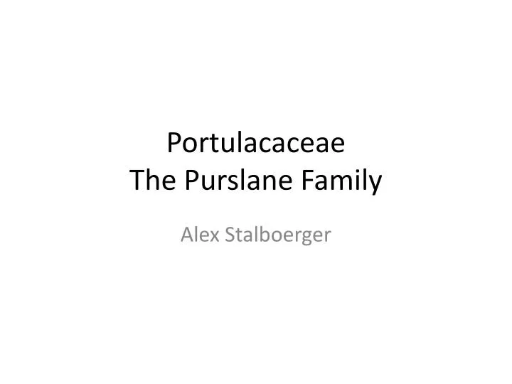 portulacaceae the purslane family