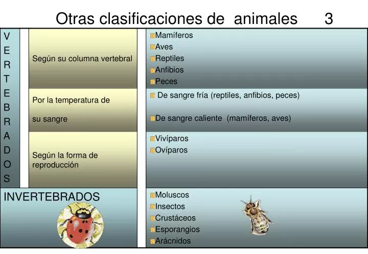 otras clasificaciones de animales 3