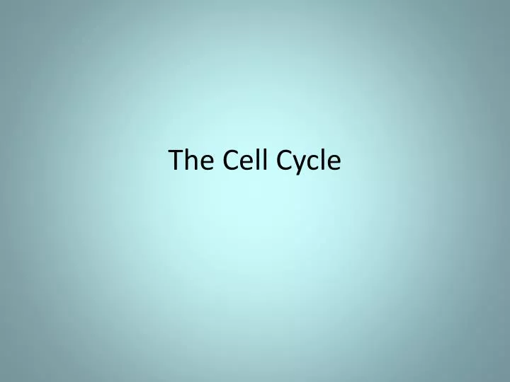 the cell cycle