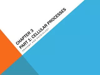 Chapter 3 Part 1: Cellular processes