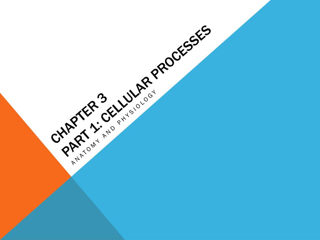 PPT - Chapter 3 Part 1: Cellular processes PowerPoint Presentation ...