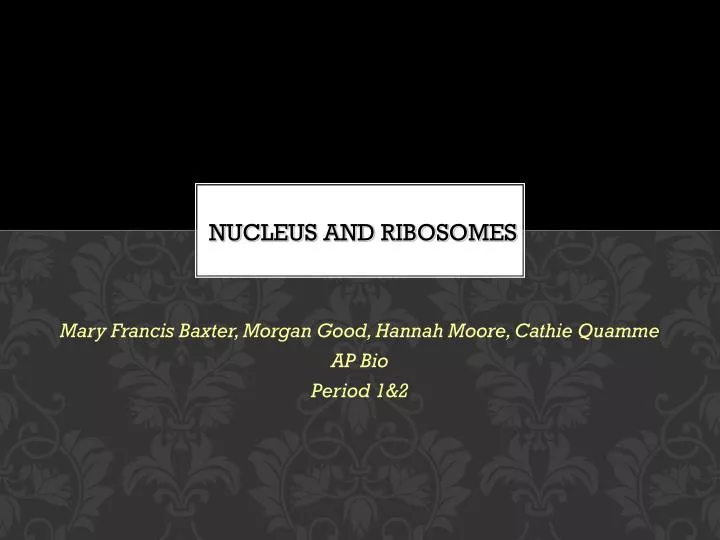 nucleus and ribosomes