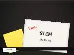 STEM - slide 1