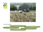 Orchards - slide 1