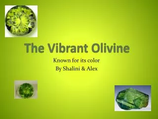 The Vibrant Olivine