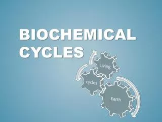 BioChemical Cycles