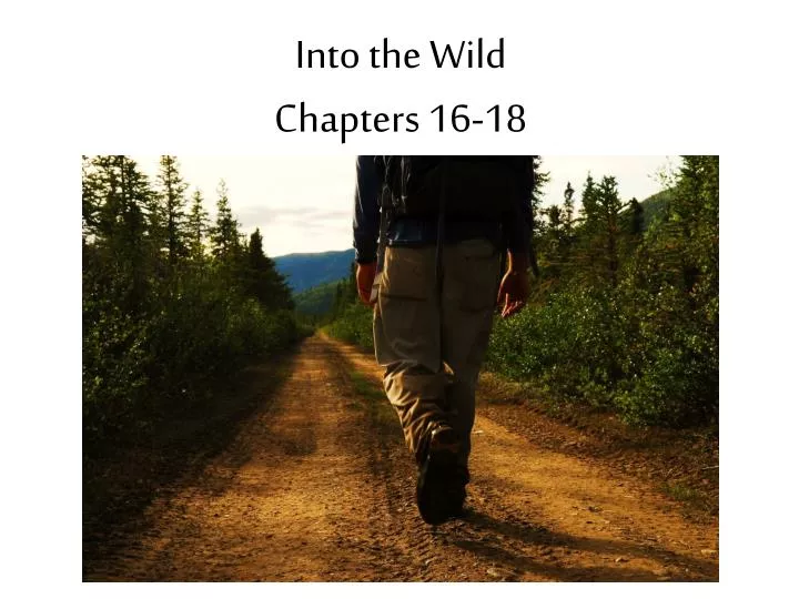 into the wild chapters 16 18