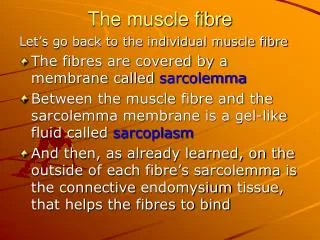 The muscle fibre