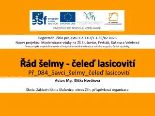 d elmy ele lasico vit