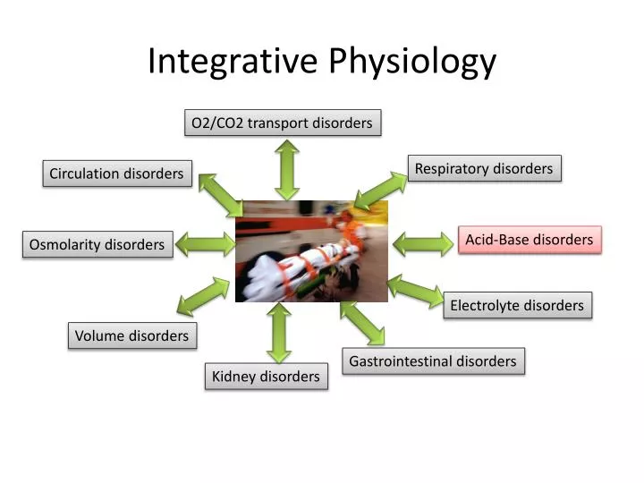 integrative physiology