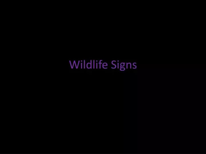 wildlife signs