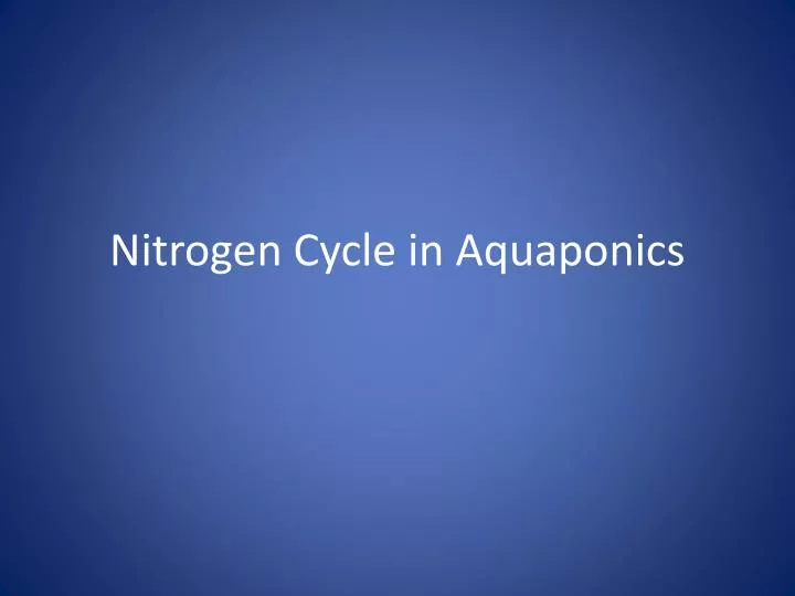 nitrogen cycle in aquaponics