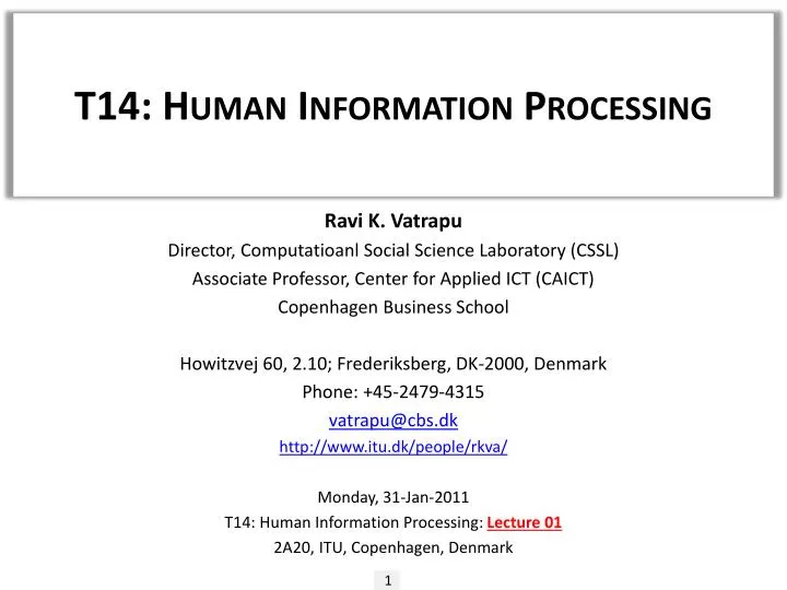t14 human information processing