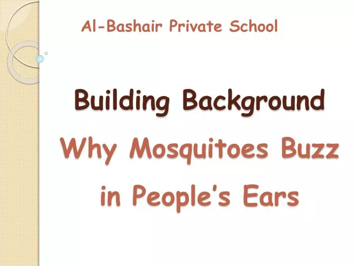 building background why mosquitoes buzz in people s ears