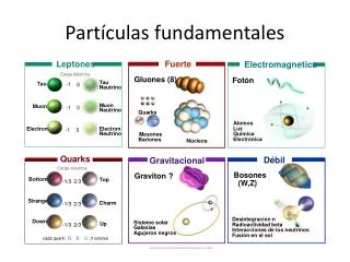 part culas fundamentales