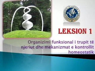 leksion 1