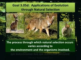Goal 3.05d : Applications of Evolution through Natural Selection