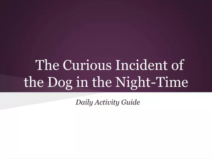 the curious incident of the dog in the night time