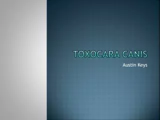 Toxocara Canis