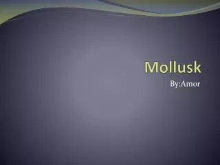 mollusk