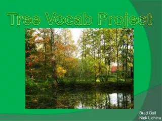 Tree Vocab Project