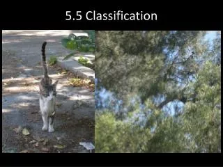 5.5 Classification
