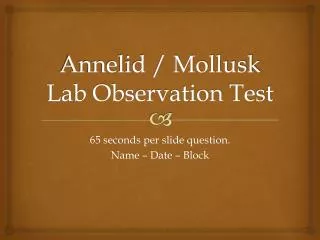 Annelid / Mollusk Lab Observation Test
