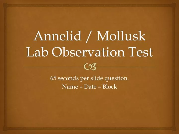 annelid mollusk lab observation test