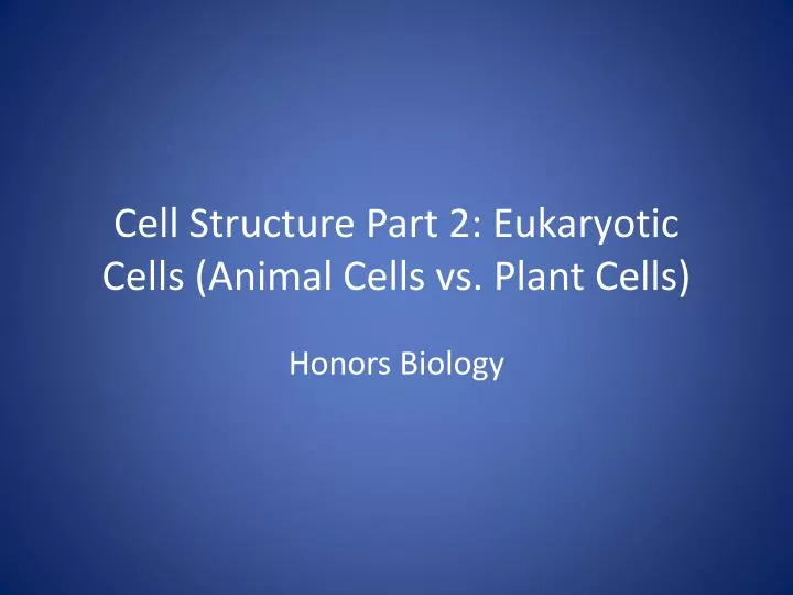 cell structure part 2 eukaryotic cells animal cells vs plant cells