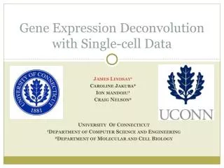 Gene Expression Deconvolution with Single-cell Data