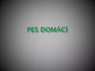 pes dom c