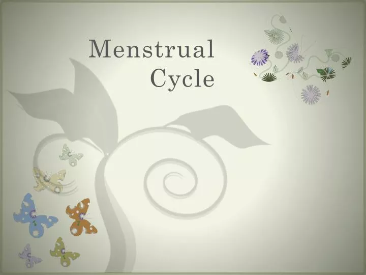 menstrual cycle