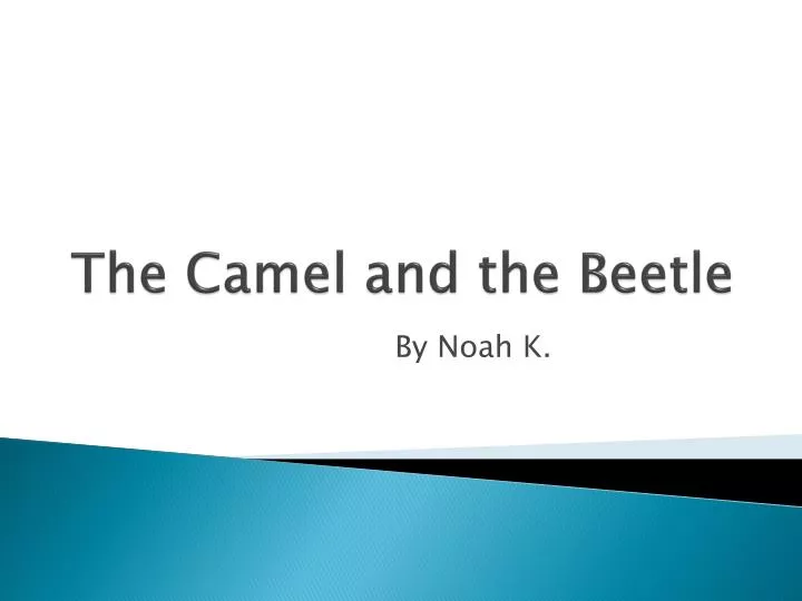 the camel and the beetle