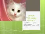 Lesson “ Who said Miaow ?” - slide 1