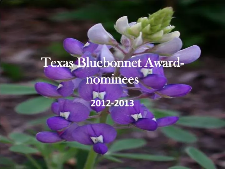 texas bluebonnet award nominees