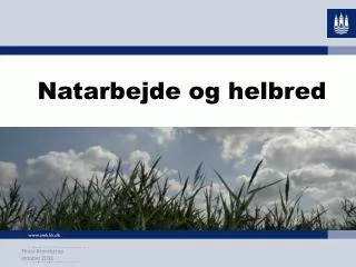 natarbejde og helbred