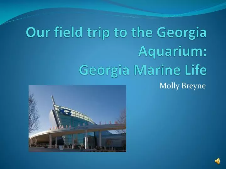 our field trip to the georgia aquarium georgia marine life