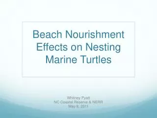 Beach Nourishment Effects on Nesting Marine Turtles