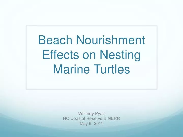beach nourishment effects on nesting marine turtles