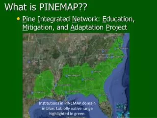 What is PINEMAP ??