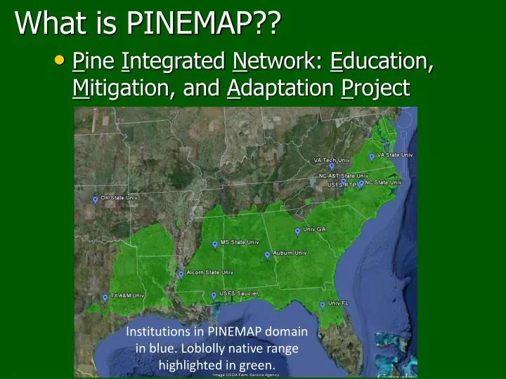 what is pinemap