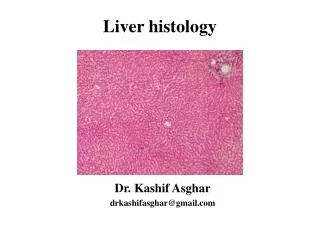 Liver histology